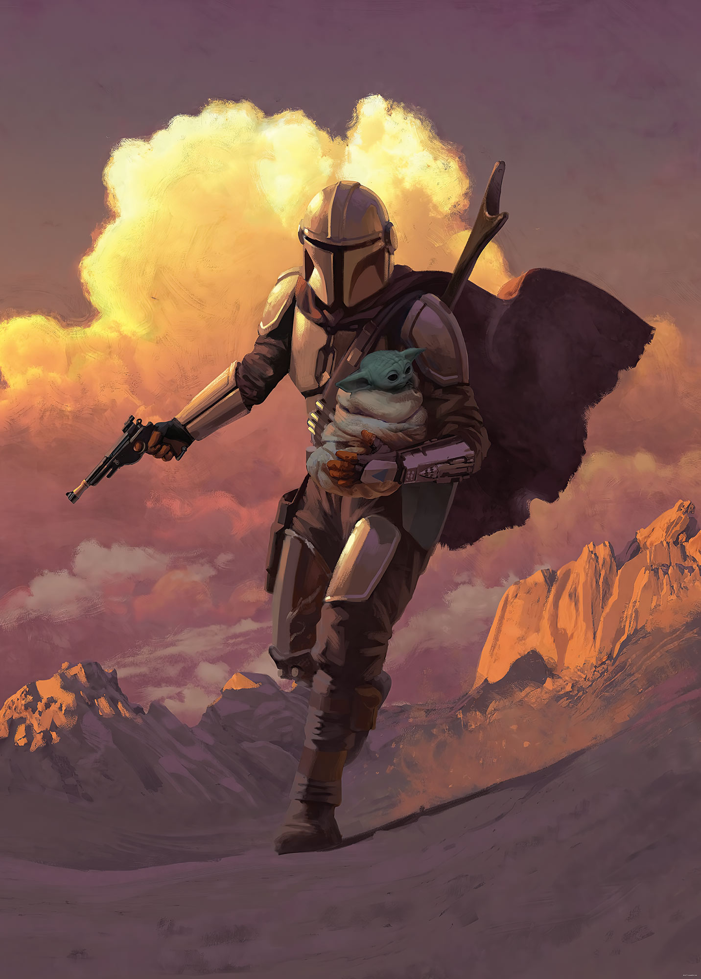 Photomurals  Digital print photomural Mandalorian Savior by Komar