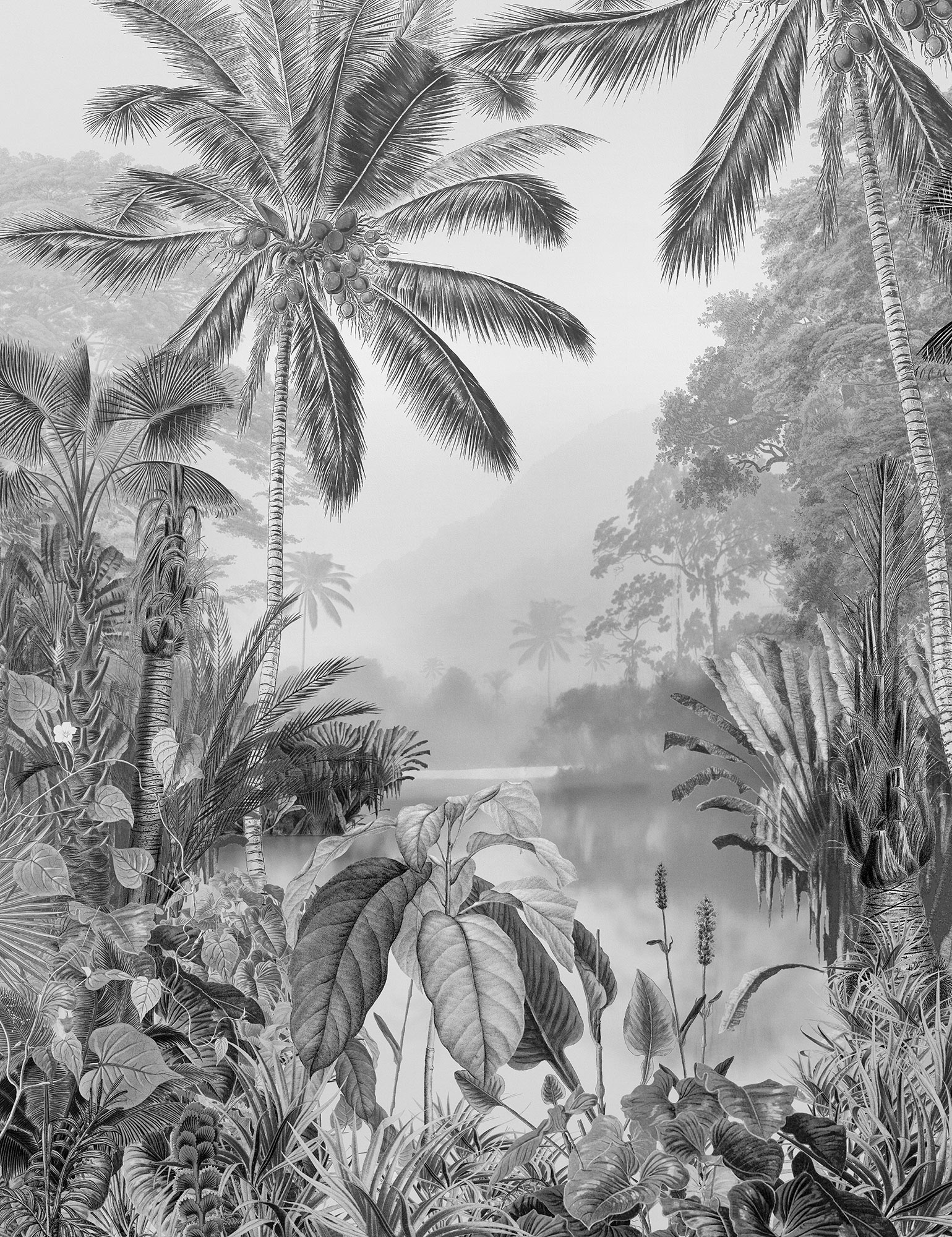 Vliestapete 'Lac Tropical Black & White' (R2-008) von Komar