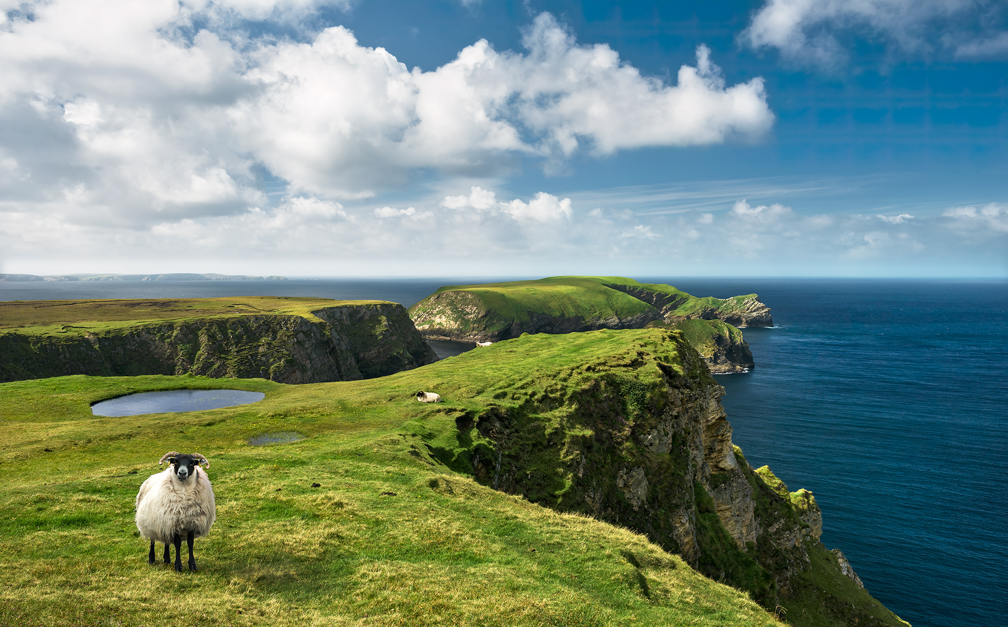 South ireland. Ирландия зеленый остров. Коннемара Ирландия деревня. Ландшафт Северной Ирландии. Остров Святого Патрика Ирландия.