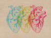 Heart Variants