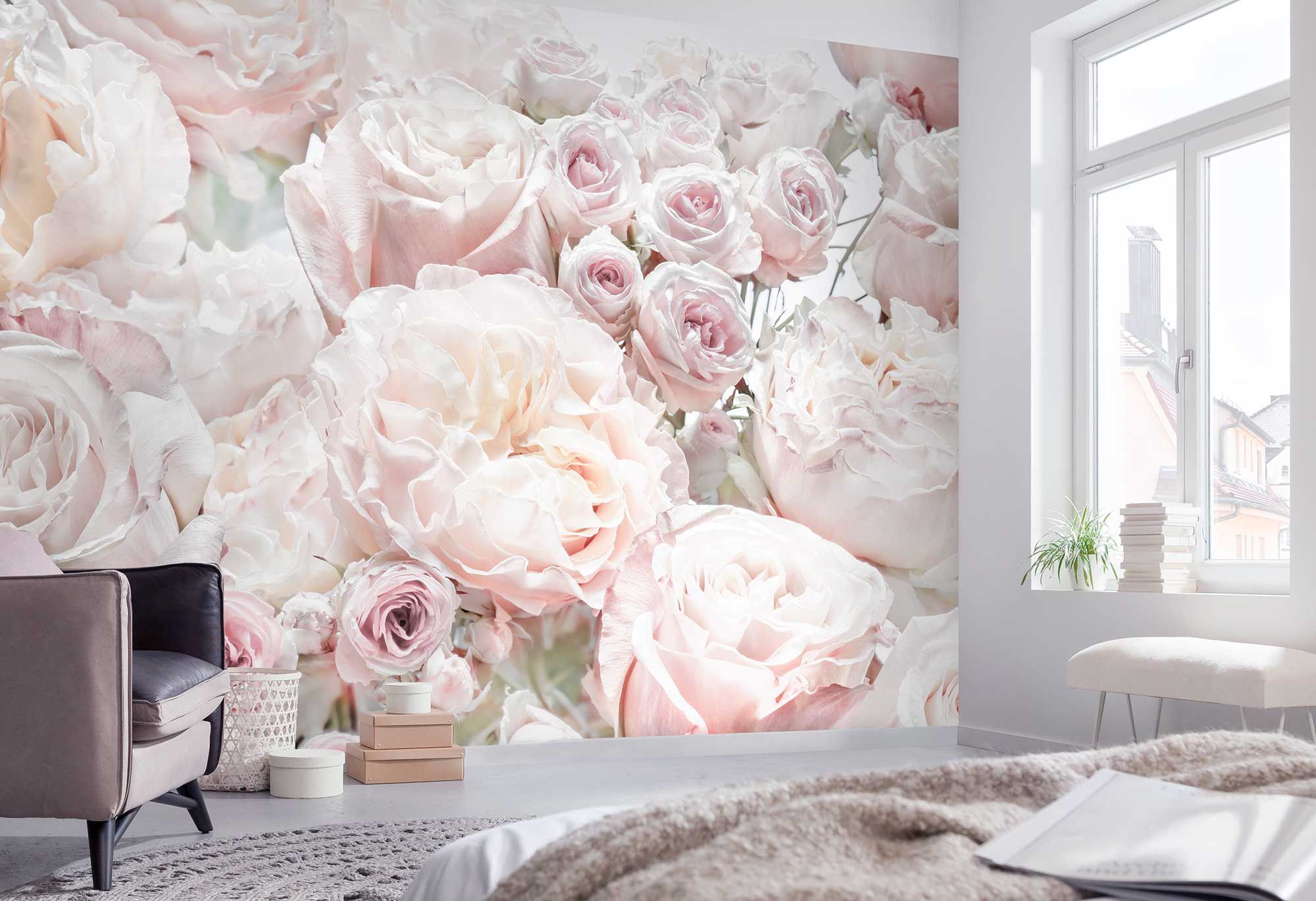 Spring Roses