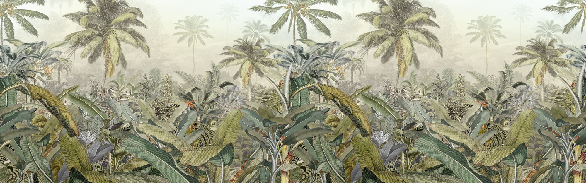 Amazonia