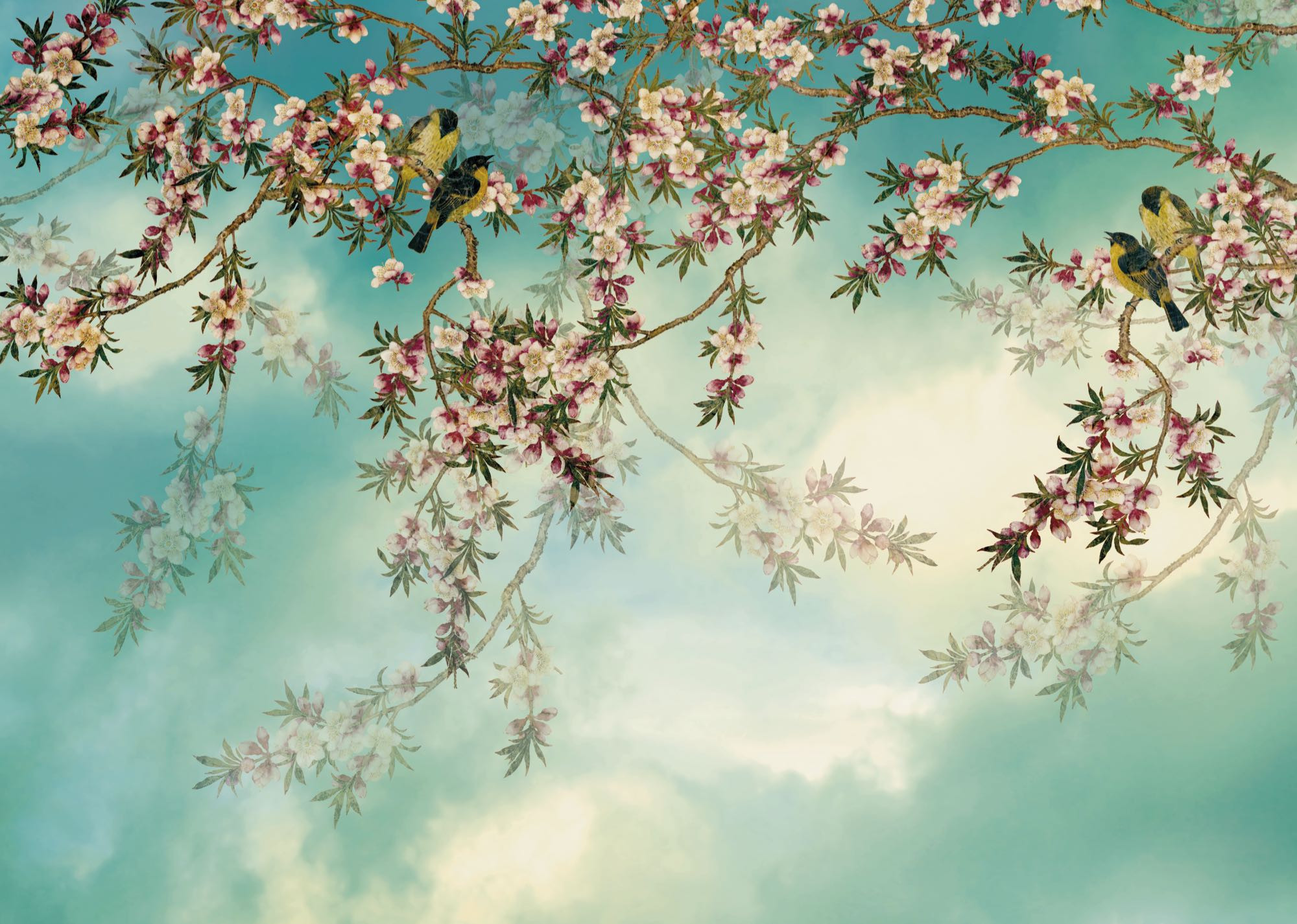 Sakura